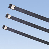 Bag (sticky) plastic stainless steel cable tie (FZJLT series)